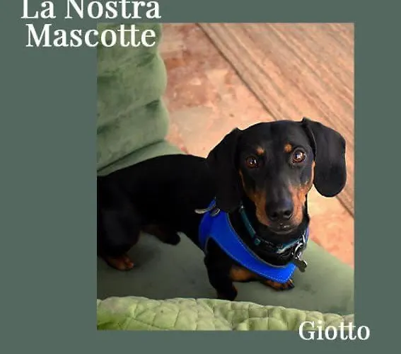 Miramare Et De La Otel 3*