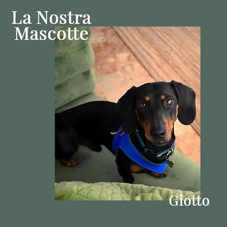 Miramare Et De La Otel 3*